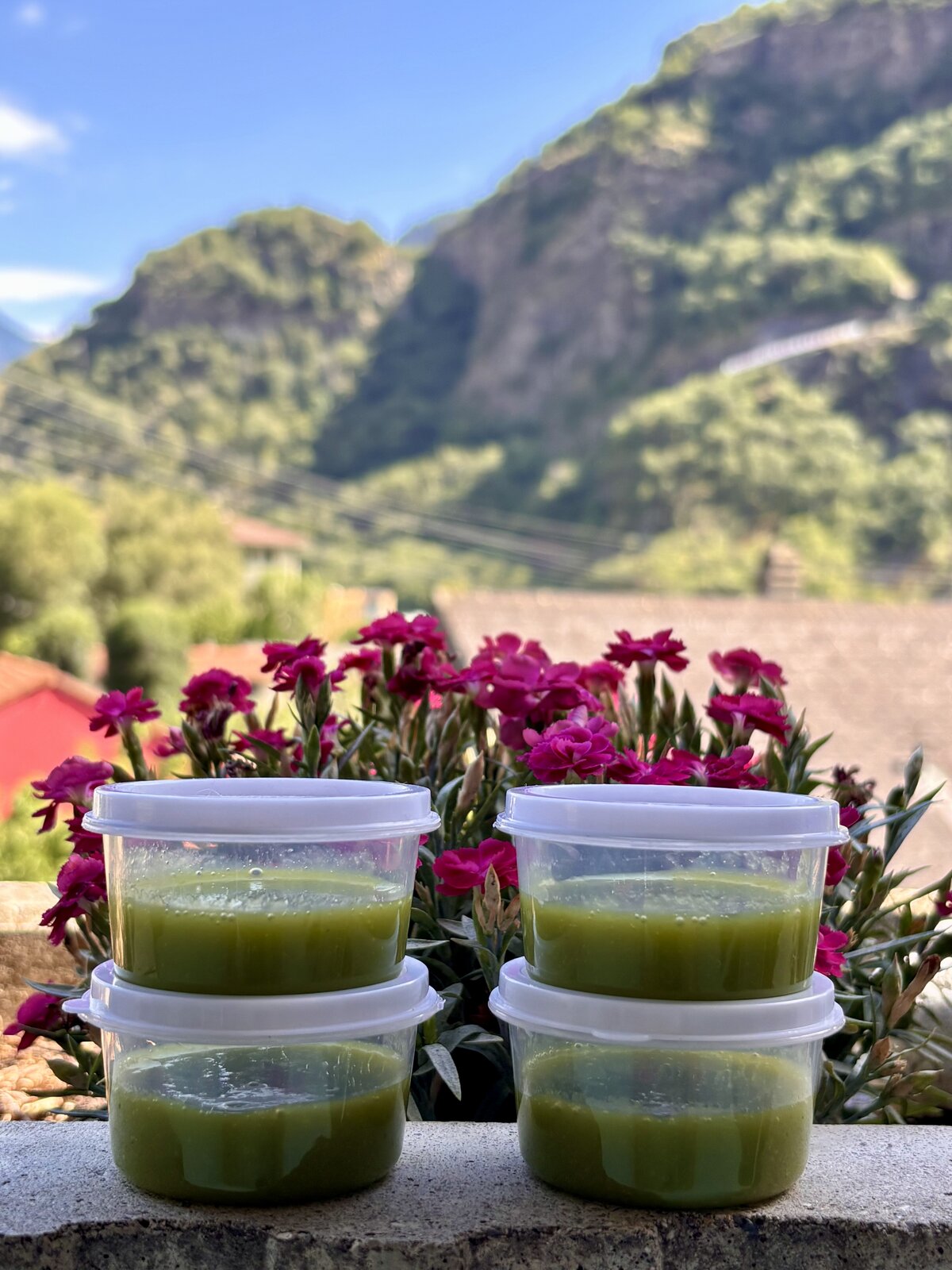 Gourdes Mami'Pompote dans un paysage valaisan